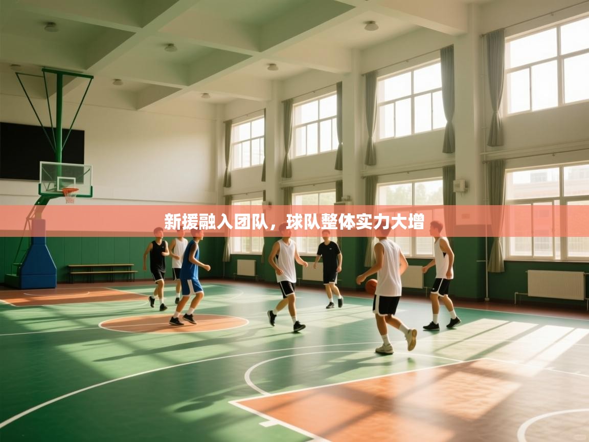 新援融入团队，球队整体实力大增