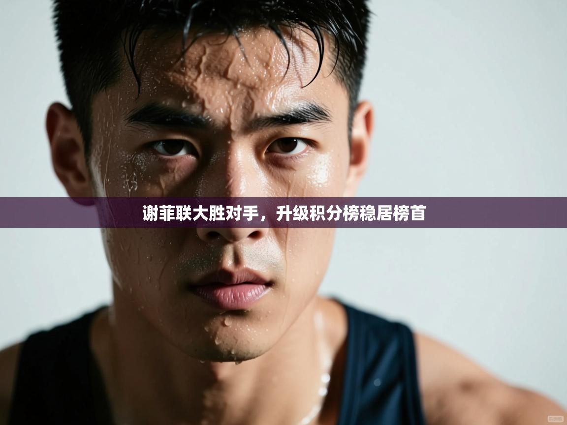 谢菲联大胜对手，升级积分榜稳居榜首