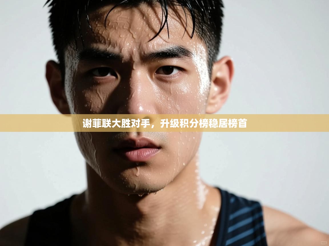 谢菲联大胜对手，升级积分榜稳居榜首  第2张