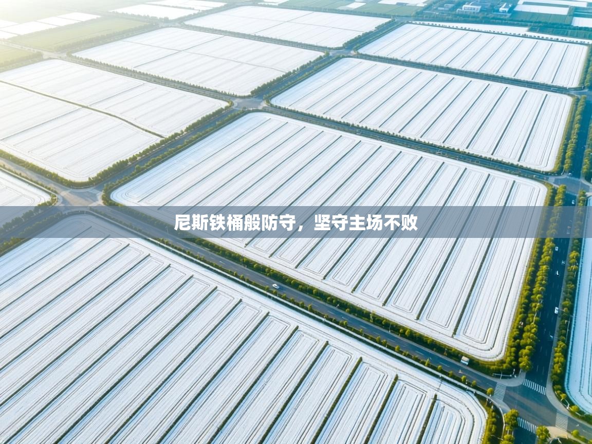 尼斯铁桶般防守，坚守主场不败