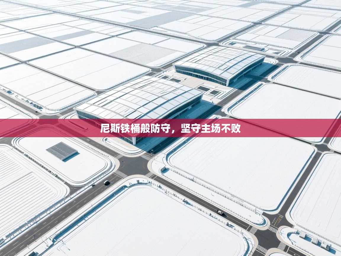 尼斯铁桶般防守，坚守主场不败  第2张