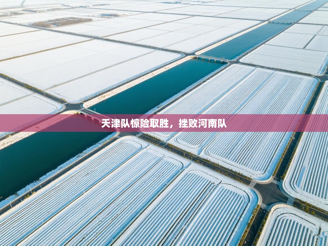 天津队惊险取胜，挫败河南队