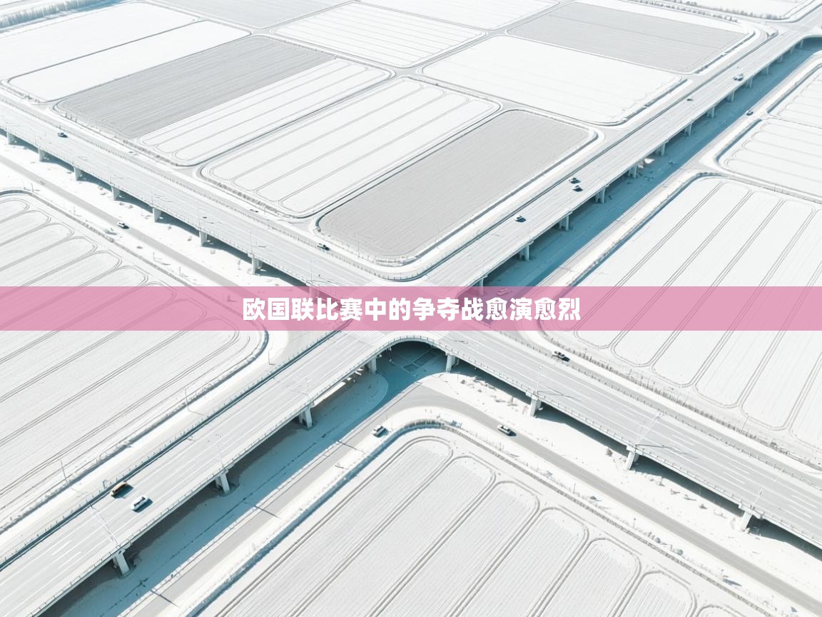 欧国联比赛中的争夺战愈演愈烈  第1张