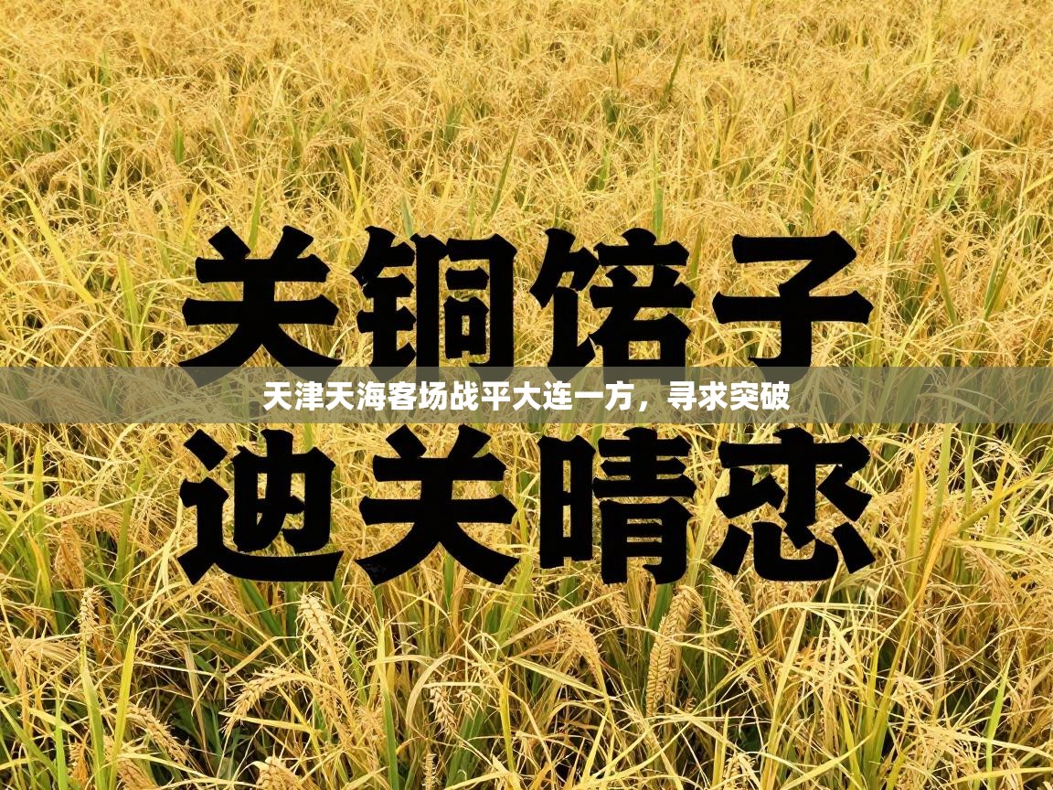 天津天海客场战平大连一方，寻求突破  第1张