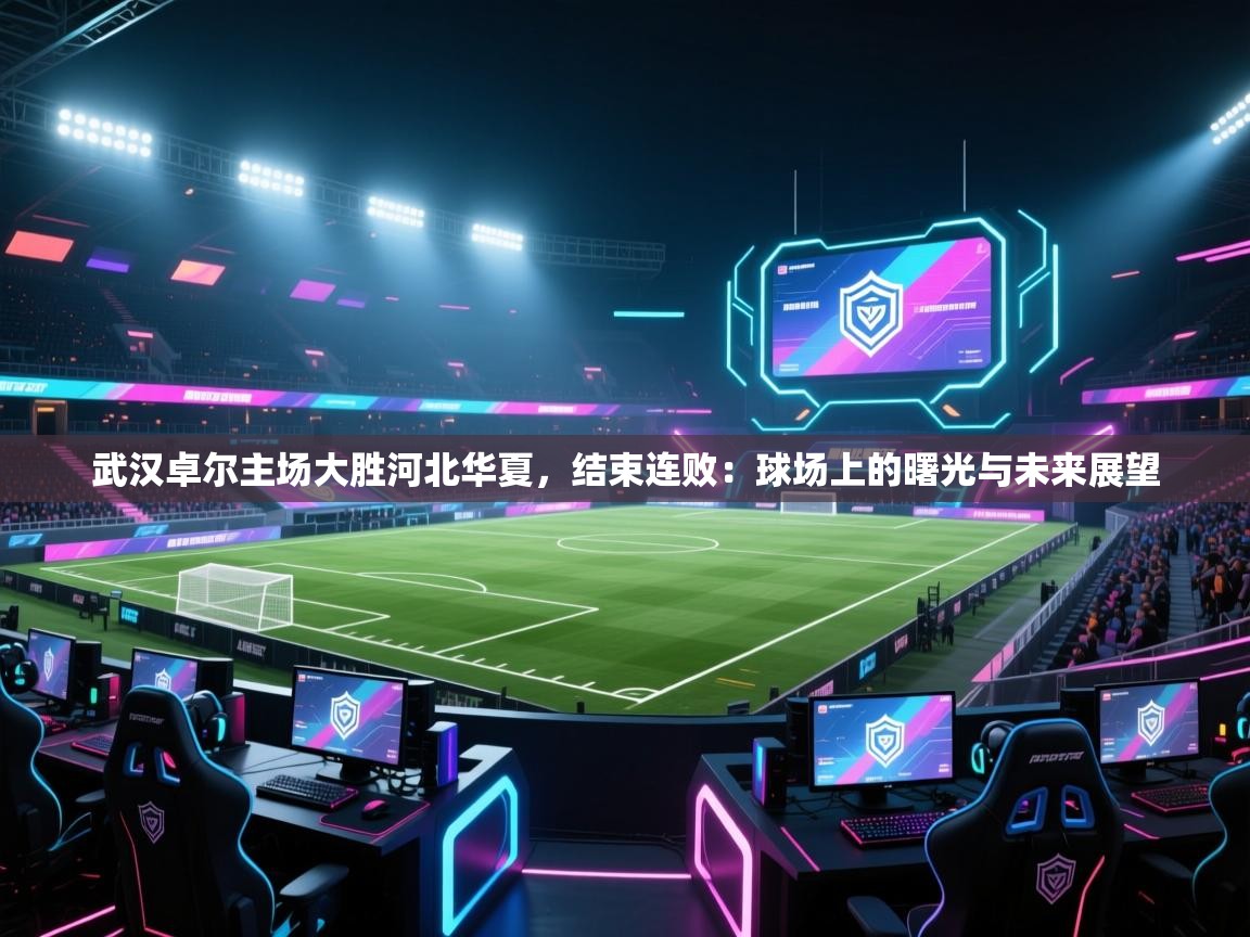 武汉卓尔主场大胜河北华夏,结束连败:球场上的曙光与未来展望 第2张