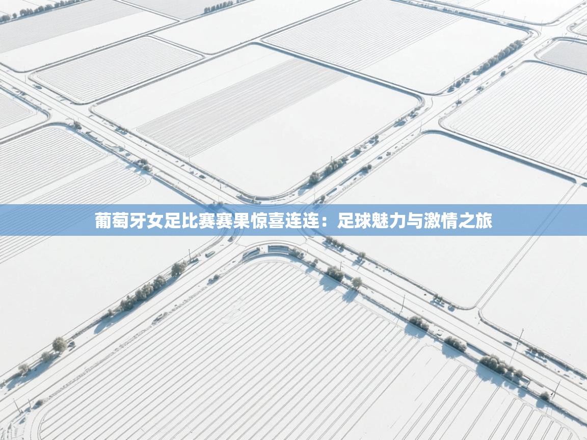 葡萄牙女足比赛赛果惊喜连连：足球魅力与激情之旅  第2张