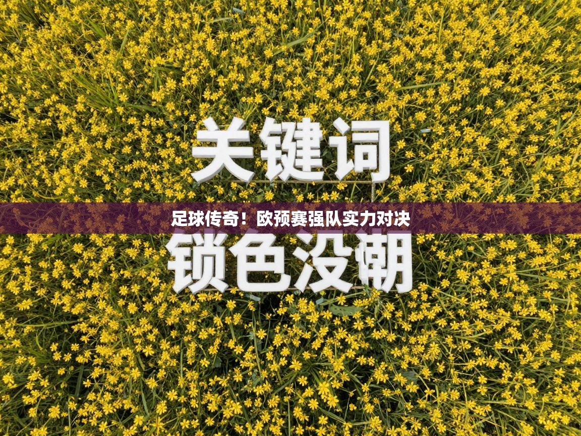 足球传奇！欧预赛强队实力对决  第2张